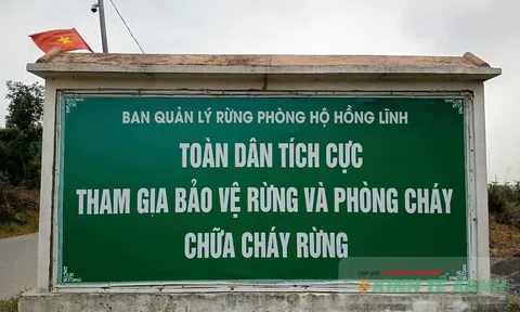 Bảo vệ rừng tại gốc – giải pháp trọng tâm phòng cháy rừng ở Hà Tĩnh năm 2026