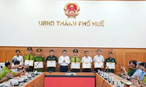 Kinh tế rừng bền vững – động lực tăng trưởng mới của Huế