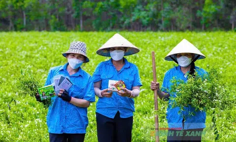 Quảng Trị đẩy mạnh phát triển nông nghiệp xanh, nâng tầm giá trị nông sản bằng chuỗi liên kết