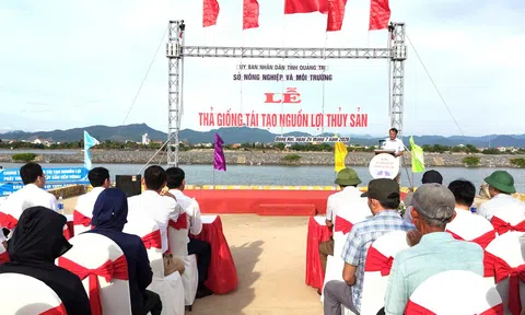 Quảng Trị: Thả 1 triệu con tôm sú giống tái tạo nguồn lợi thủy sản