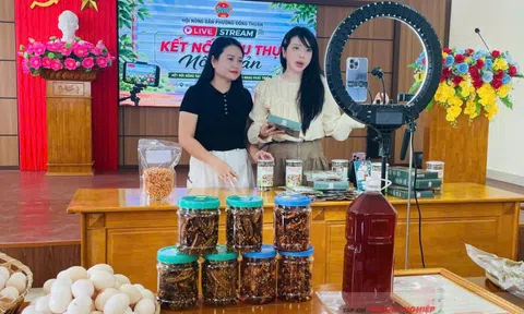 Từ chiếc điện thoại đến “cầu nối” tiêu thụ nông sản ở Đồng Thuận