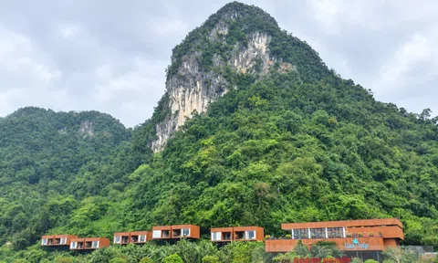 Kim Phú tạo động lực phát triển kinh tế trong 10 tháng đầu năm 2026
