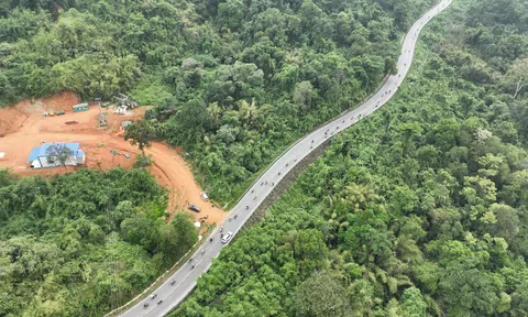 Lâm Đồng công bố đường dây nóng các Đội Kiểm lâm cơ động và Phòng cháy chữa cháy rừng
