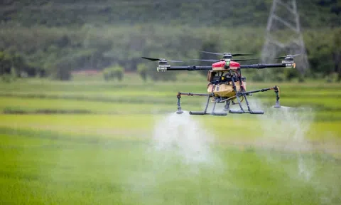 Khoa học công nghệ và chuyển đổi số – động lực xác lập mô hình tăng trưởng mới cho nông nghiệp