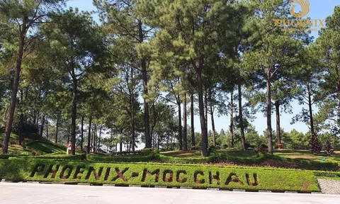 Phoenix Mộc Châu – Tổ hợp nghỉ dưỡng xanh giữa “Đà Lạt thu nhỏ” của Tây Bắc