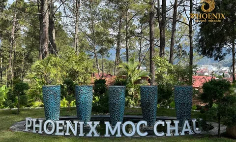 Phoenix Mộc Châu Resort – Chạm vào bình yên giữa rừng thông Bản Áng