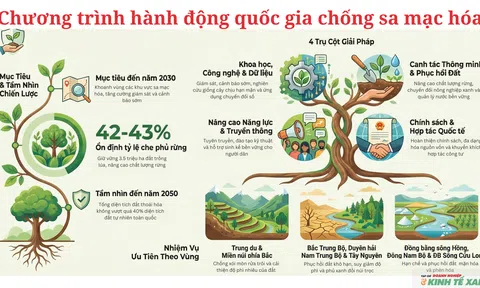 [Infographic] Chương trình hành động quốc gia chống sa mạc hóa: Giữ đất – giữ rừng – giữ tương lai bền vững