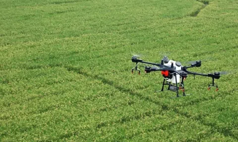 Bổ sung nhiều loại thuốc bảo vệ thực vật mới, mở rộng sử dụng drone trong sản xuất nông nghiệp hiện đại