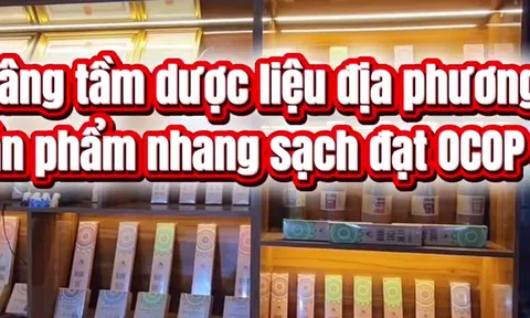 [Video] Nâng tầm dược liệu địa phương với sản phẩm nhang sạch đạt OCOP 4 sao