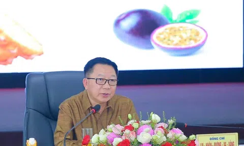 Mở rộng hợp tác nông nghiệp Việt Nam - Lào từ mô hình của DOVECO