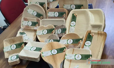 Đất Tổ Star Eco: Biến mo cau thành sản phẩm xanh, kiến tạo giá trị bền vững