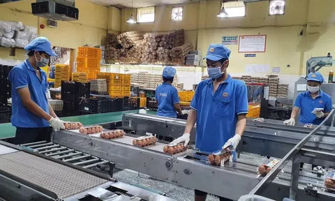 Bảo hiểm thất nghiệp: Công cụ quản trị thị trường lao động