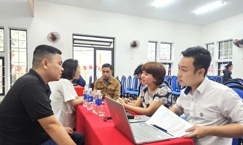 Bảo hiểm thất nghiệp góp phần ổn định và phát triển thị trường lao động