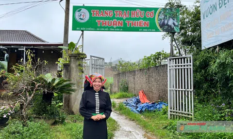 Thuận Thiên Farm: Nghe đất kể chuyện chuyển đổi sinh thái - hữu cơ