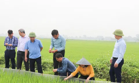 Liên kết “bốn nhà” để nông sản phát triển bền vững