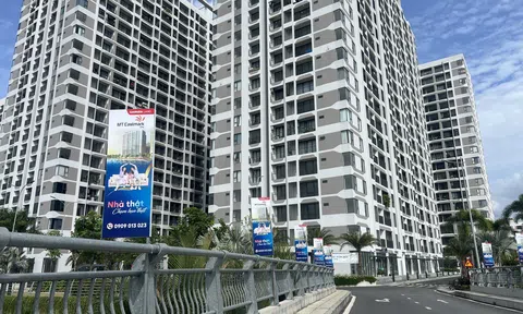 Tâm sự người trẻ mua căn hộ: “Giá cao quá”!