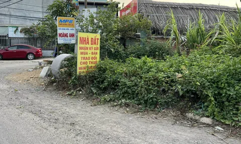 Sai lầm của người mua bất động sản: Dồn tiền trả nợ mua nhà, chỉ chi tiêu 6 triệu đồng mỗi tháng