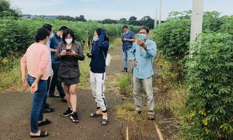 “Túi tiền” của nhà đầu tư bất động sản bị ảnh hưởng thế nào trước các biến động?