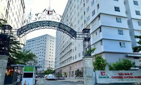 Chung cư Chương Dương Home (TP. Hồ Chí Minh) bị đánh cắp hàng trăm mét cáp đồng chống sét, dây điện nguồn PCCC