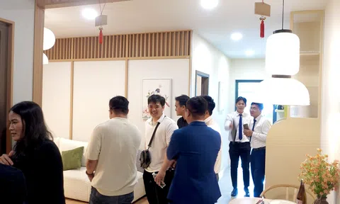 Không ngại thị trường “khó”, doanh nghiệp địa ốc phía Nam liên tục có động thái mới