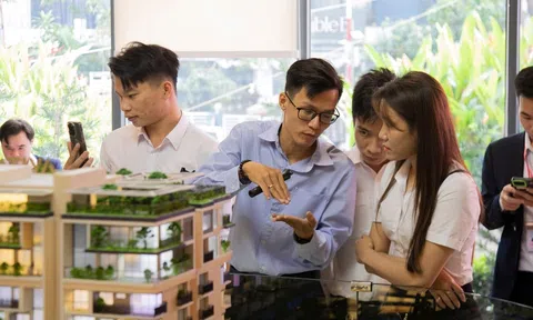 Phân khúc bất động sản nào đang giữ “phong độ” tốt nhất thị trường?