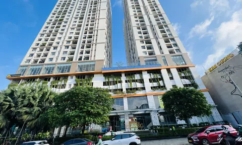 Điều gì quyết định chu kỳ phát triển tiếp theo của thị trường bất động sản?