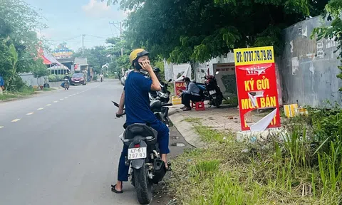 Giá bất động sản không phụ thuộc vào việc Nhà nước quyết định giá đất