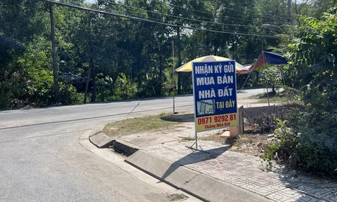 TP. Hồ Chí Minh phát động 90 ngày cao điểm tăng tốc hoàn thiện dữ liệu đất đai