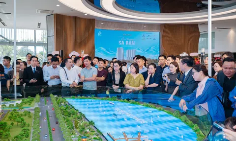 Giao dịch chậm nhưng nhu cầu thị trường không mất đi