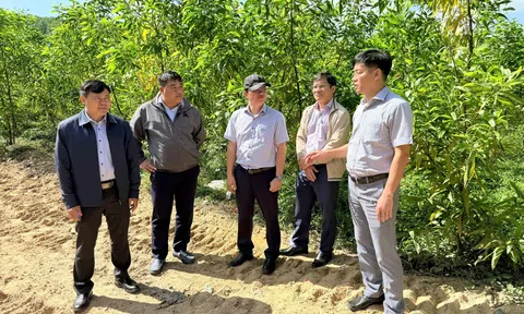 Quảng Ngãi: Phó Chủ tịch UBND tỉnh kiểm tra công tác xử lý rác thải tại phường Đức Phổ