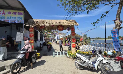 Rộn ràng chuỗi hoạt động Lễ hội rước Cộ Bà chợ Được và Lễ hội Cầu ngư năm 2026 tại Đà Nẵng