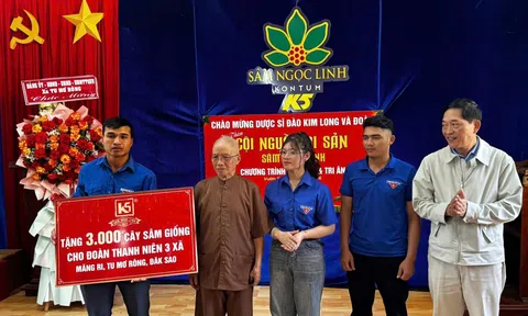 Quảng Ngãi: 3.000 cây giống sâm Ngọc Linh tiếp sức thanh niên vùng cao lập nghiệp