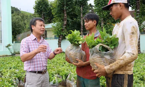 Giải Pickleball kiến tạo vườn cà phê đặc sản cho đồng bào Xơ Đăng tại Quảng Ngãi