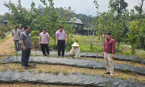 Quảng Ngãi: Người dân Tu Mơ Rông thiệt hại sau hai ngày mưa đá dồn dập