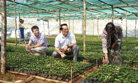 Quảng Ngãi: Thanh niên vùng cao tranh tài kỹ năng số, nông dân thi sản xuất bền vững