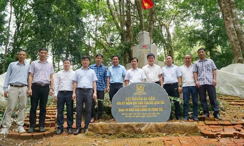 Quảng Ngãi: Kiểm tra thực tế các mô hình phát triển sâm Ngọc Linh tại Tu Mơ Rông