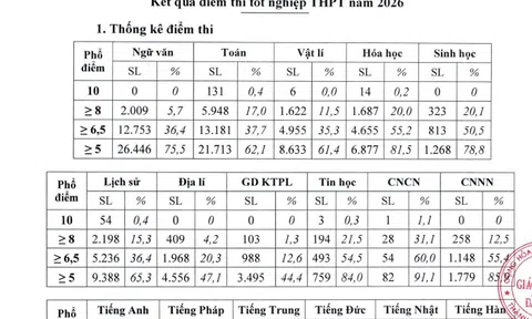 Đà Nẵng công bố điểm thi THPT 2026: 217 bài thi đạt điểm tuyệt đối