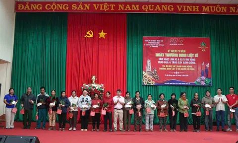 Quảng Ngãi: Trao cây giống sâm Ngọc Linh hỗ trợ sinh kế cho 371 hộ gia đình người có công