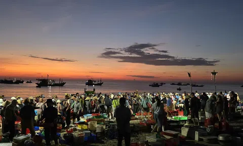 Đà Nẵng: Bình minh rộn ràng ở làng chài Tam Tiến