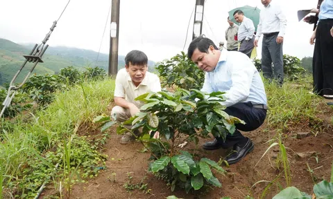 Quảng Ngãi: Tu Mơ Rông quyết tâm vượt khó, hướng tới phát triển bền vững
