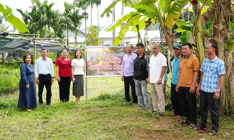 Đà Nẵng: Xã Trà LiênTrao tặng 4000 cây cau cho 40 hội viên nông dân đồng bào Co