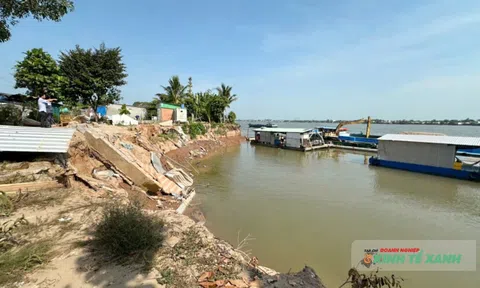 Đồng Tháp: Khẩn trương khắc phục khẩn cấp sạt lở bờ sông Tiền