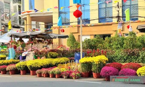 Sắc xuân lan tỏa khắp phố phường Cần Thơ