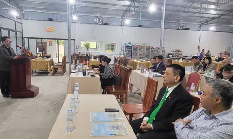 VFARM tổ chức tập huấn sản xuất hữu cơ và marketing nông sản