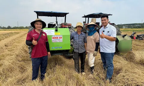 Thị trường máy cuộn rơm tại Việt Nam: Động lực mới cho kinh tế tuần hoàn sau mỗi mùa gặt