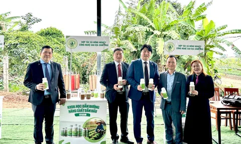 Tổng Giám đốc Sungwon DX: Việt Nam có thể trở thành Trung tâm công nghệ vi sinh nông nghiệp của châu Á