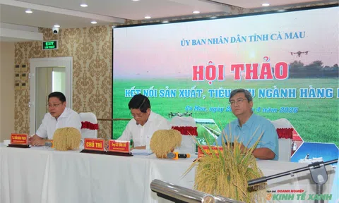 Nông nghiệp xanh mở lối cho thương hiệu "gạo Cà Mau" vươn ra thị trường quốc tế