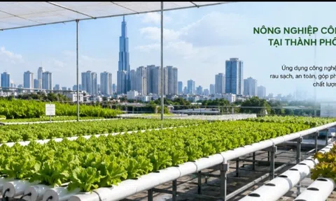 TP. Hồ Chí Minh tăng tốc chuyển đổi xanh trong nông nghiệp đô thị