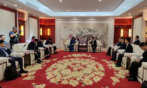Tây Ninh tăng cường kết nối đầu tư, thương mại và y dược tại Diễn đàn hợp tác RCEP 2026