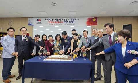 Trung tâm Giao lưu Văn hóa Hàn - Việt tại Daegu: Điểm hẹn mới kết nối cộng đồng và doanh nghiệp hai nước
